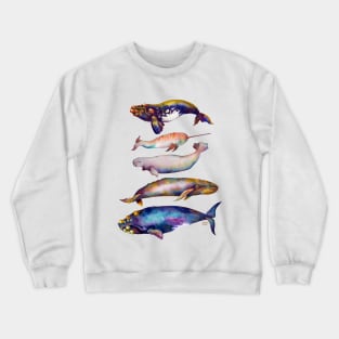 Watercolor Whales - Fifth Pyramid Crewneck Sweatshirt